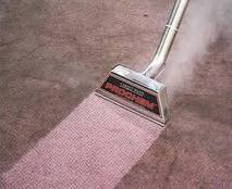 carpet cleaning auckland