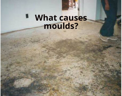 What Causes Moulds?