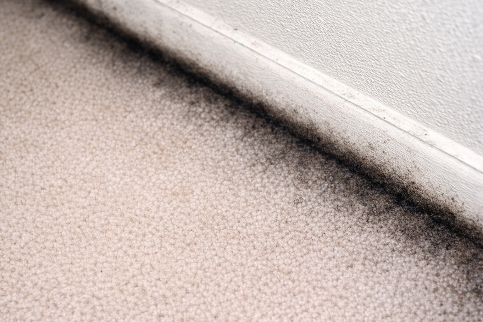 What Causes Black Edges On Carpets?
