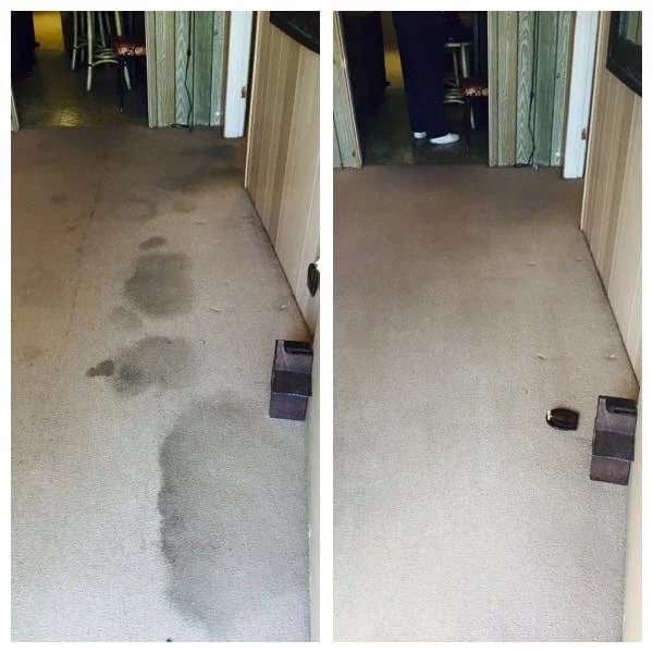 How To Remove Water Stains From Carpet
