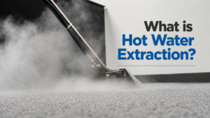 What Is Carpet Steam Cleaning or Hot Water Extraction?
